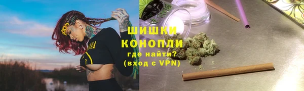 прущие грибы Богданович
