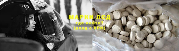прущие грибы Богданович