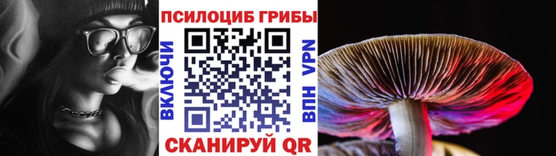 Псилоцибиновые грибы мухоморы  мориарти состав  Рубцовск 